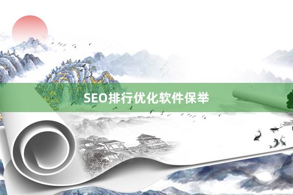 SEO排行优化软件保举